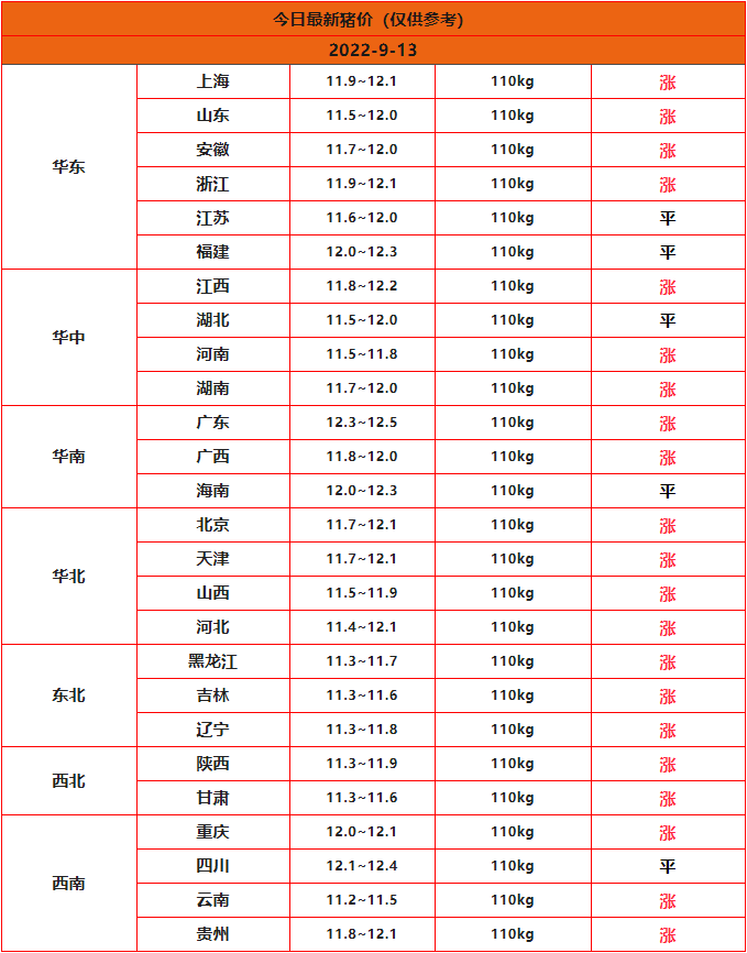 全国猪价行情