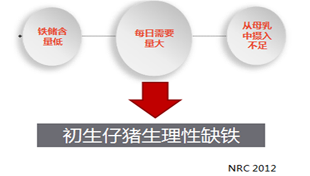 饲料添加剂