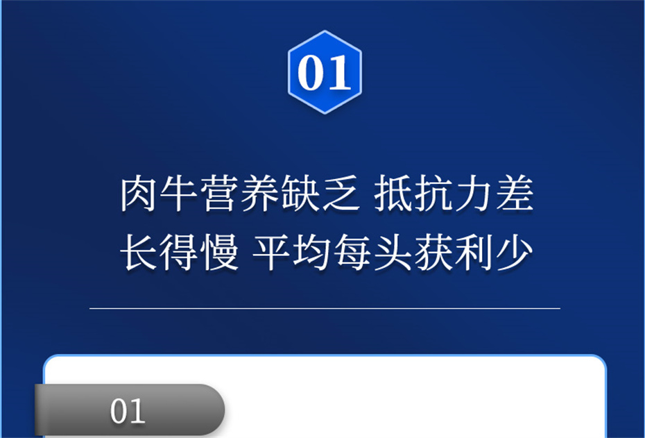 尊龙凯时中国动保牛饲料添加剂肉牛多矿产品介绍