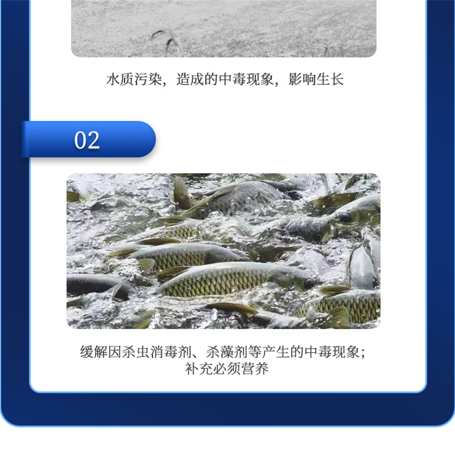 尊龙凯时中国动保水产饲料添加剂抗激1号产品介绍