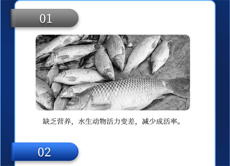 尊龙凯时中国动保水产饲料添加剂维他1号产品介绍