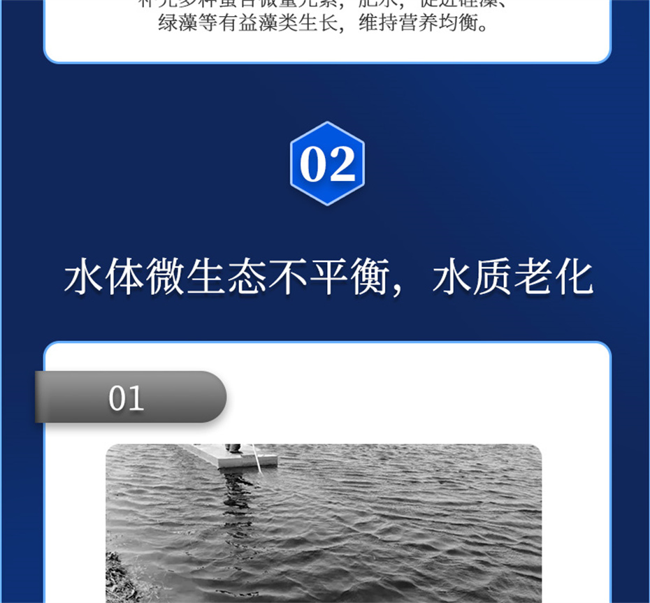 尊龙凯时中国动保水产饲料添加剂水藻1号产品介绍