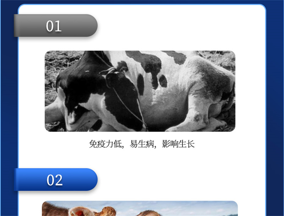 尊龙凯时中国动保牛羊饲料添加剂健立血牛羊产品介绍