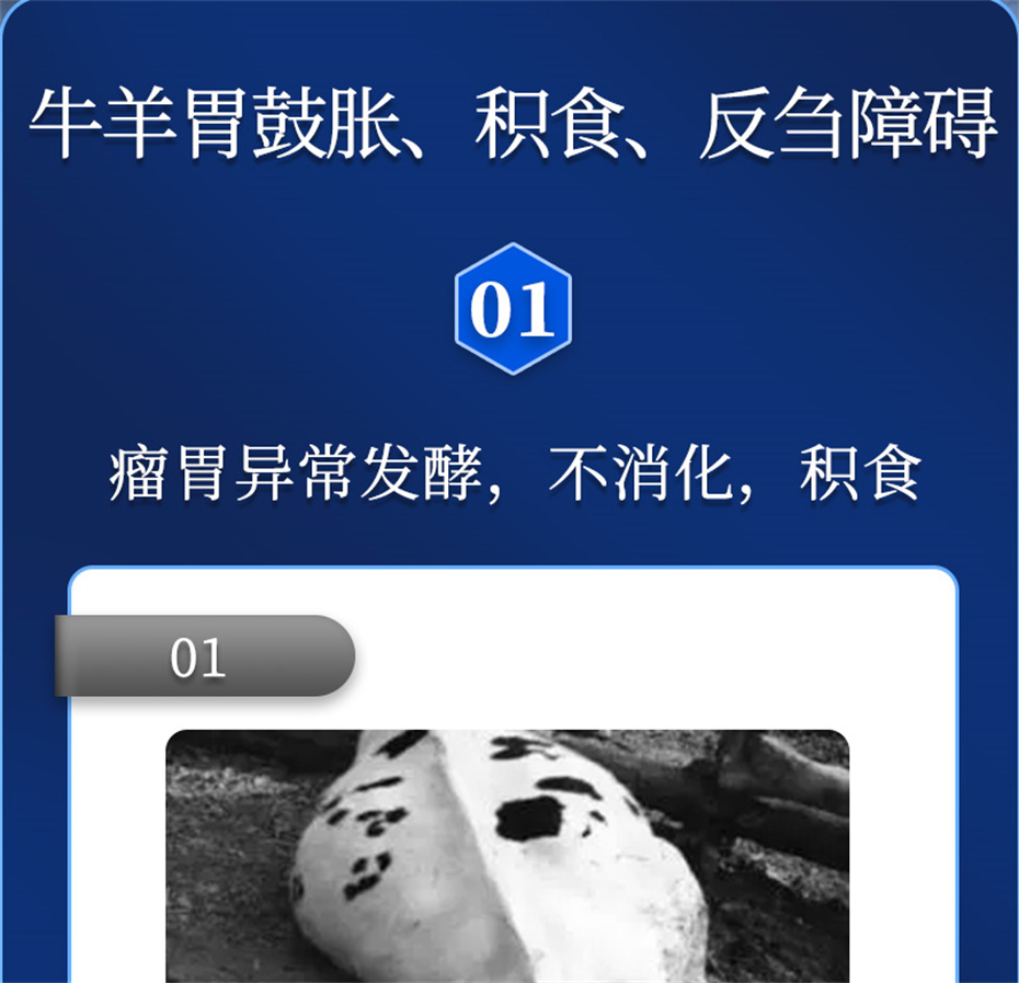 尊龙凯时中国动保牛羊饲料添加剂瘤胃宝产品介绍