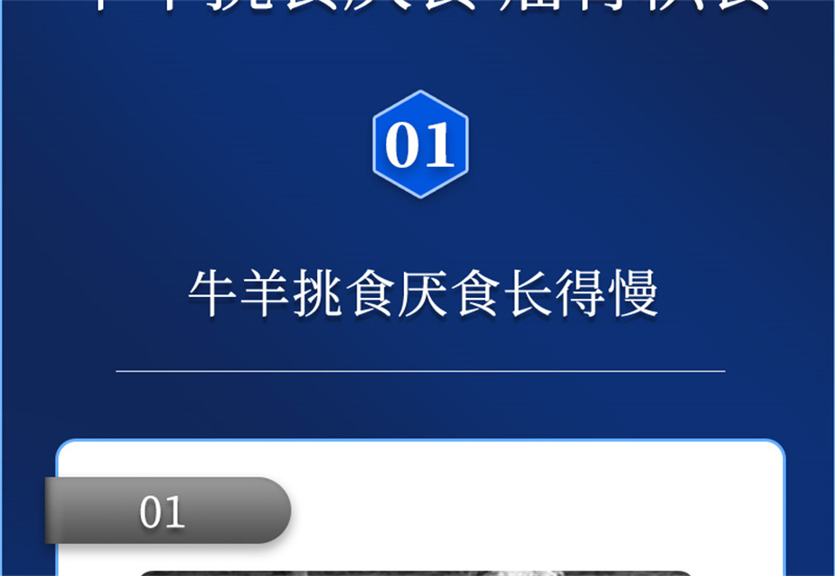 尊龙凯时中国动保牛羊饲料添加剂牛羊壮膘宝产品介绍