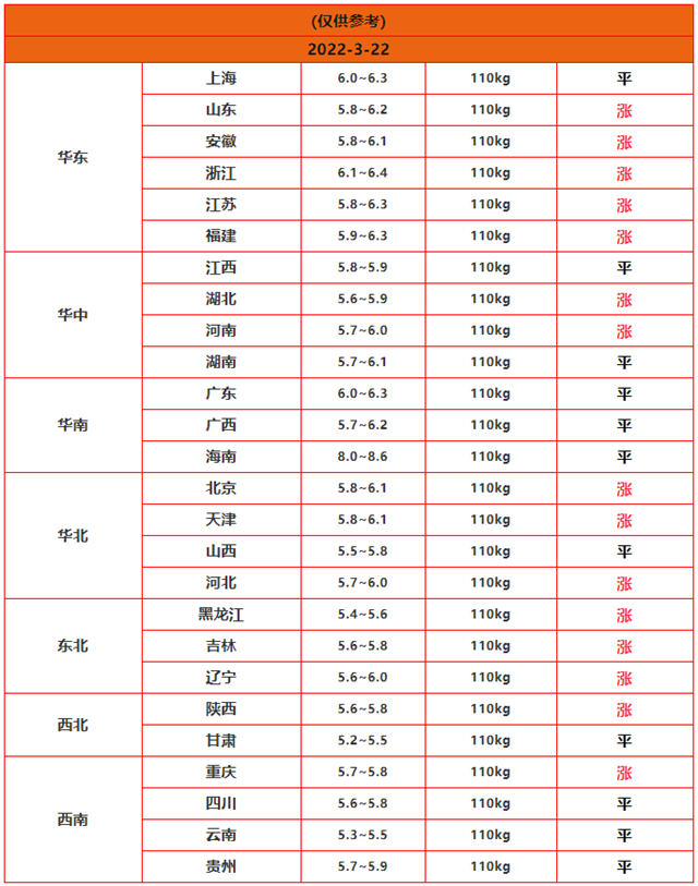 最新猪价行情