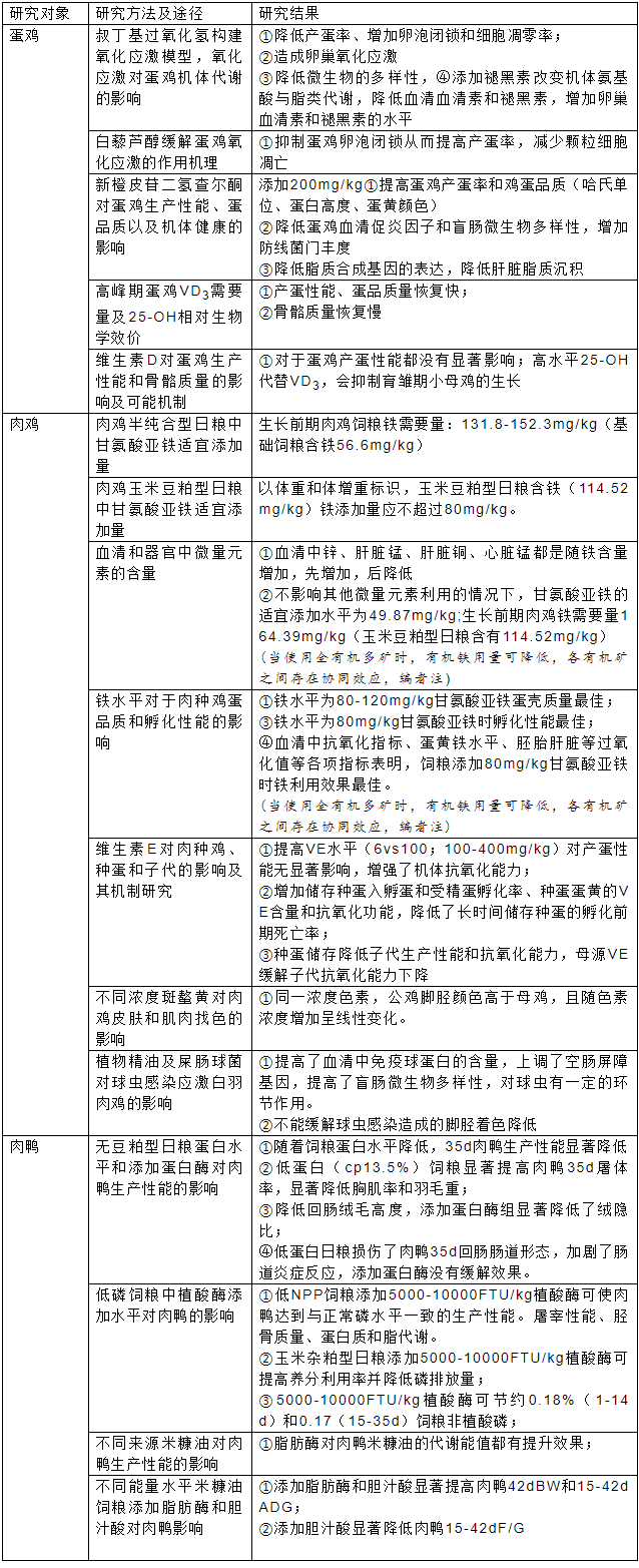 报告内容3