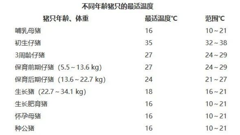 不同年龄猪只的最适温度