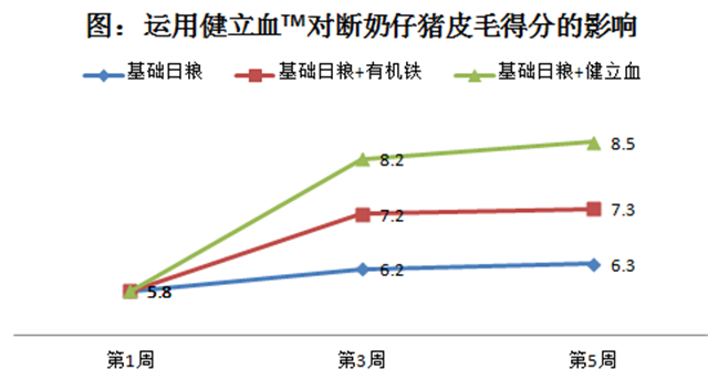 尊龙凯时中国猪饲料添加剂健立血对断奶仔猪皮毛的影响