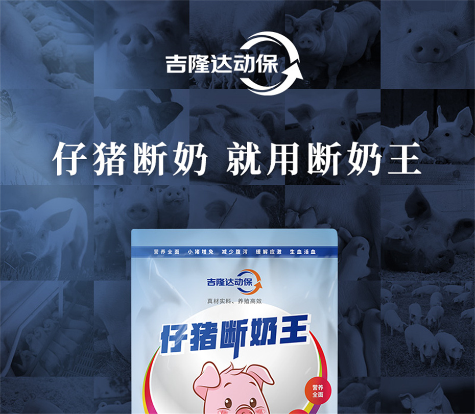 尊龙凯时中国动保猪饲料添加剂仔猪断奶王产品介绍