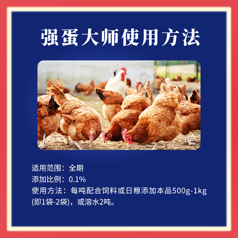 强蛋大师