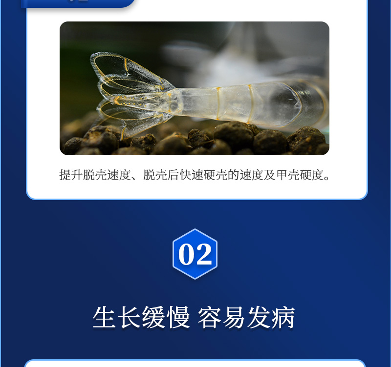 佳倍力详情_04