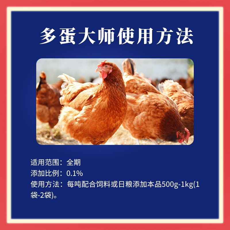 多蛋大师