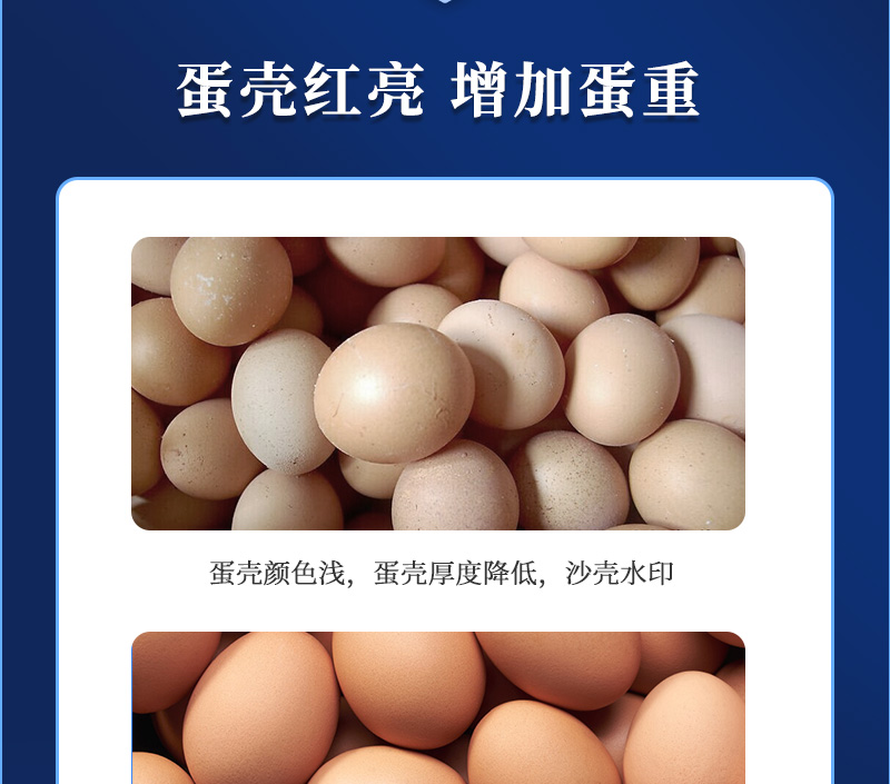 红蛋大师最新详情页_04