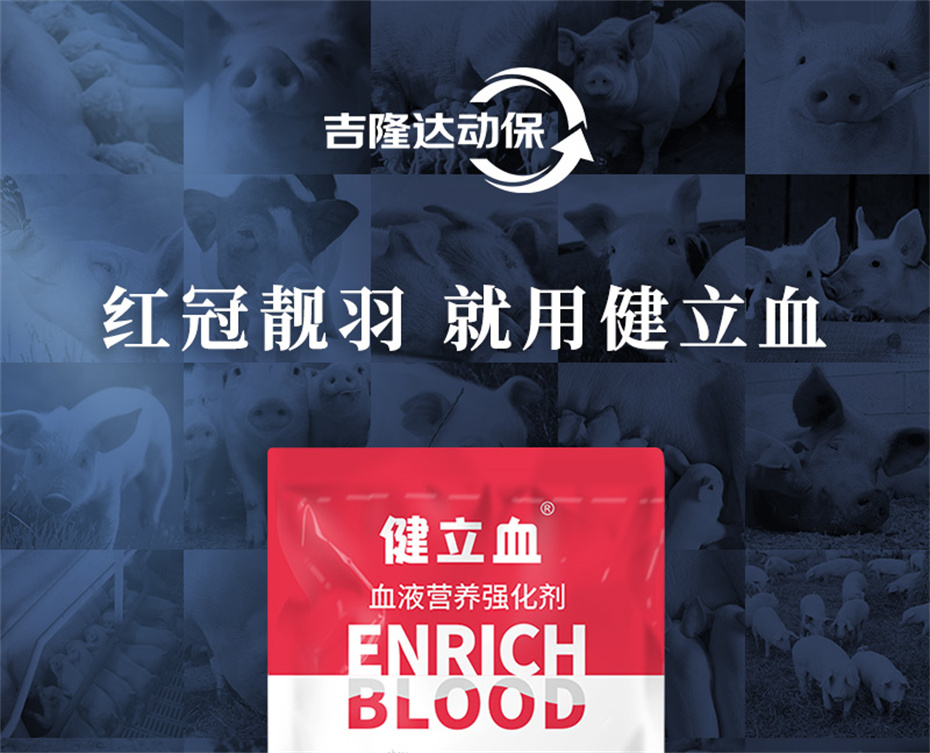 尊龙凯时中国动保禽饲料添加剂健立血禽产品介绍