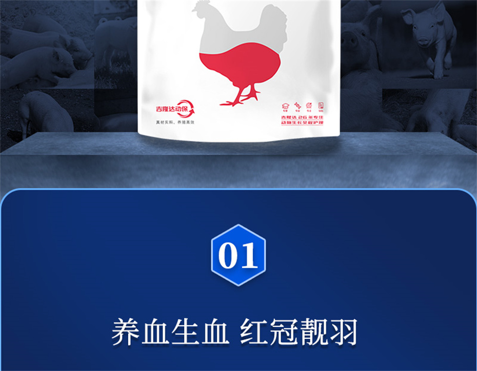 尊龙凯时中国动保禽饲料添加剂健立血禽产品介绍
