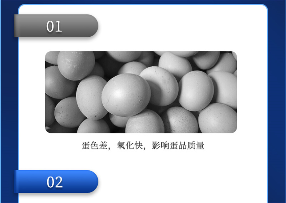 尊龙凯时中国动保禽饲料添加剂健立血禽产品介绍
