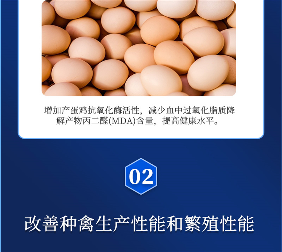 尊龙凯时中国动保禽饲料添加剂健立血禽产品介绍