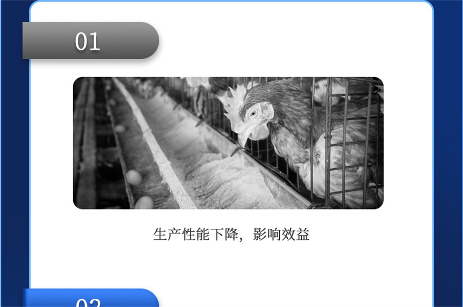 尊龙凯时中国动保禽饲料添加剂健立血禽产品介绍
