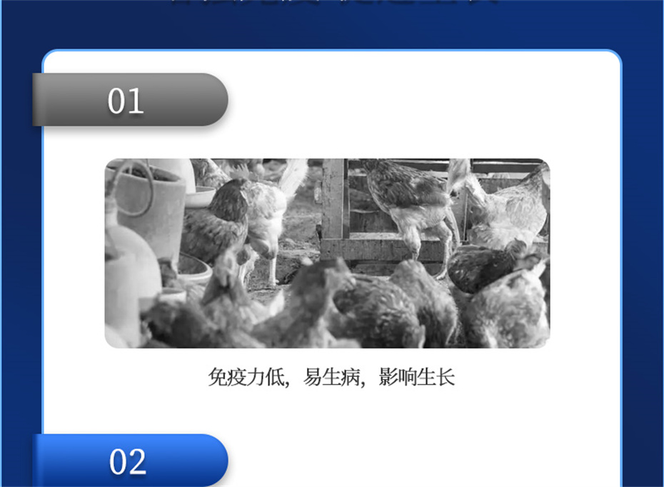 尊龙凯时中国动保禽饲料添加剂健立血禽产品介绍