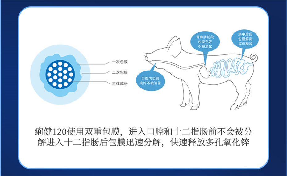 尊龙凯时中国动保猪饲料添加剂痢健120产品介绍