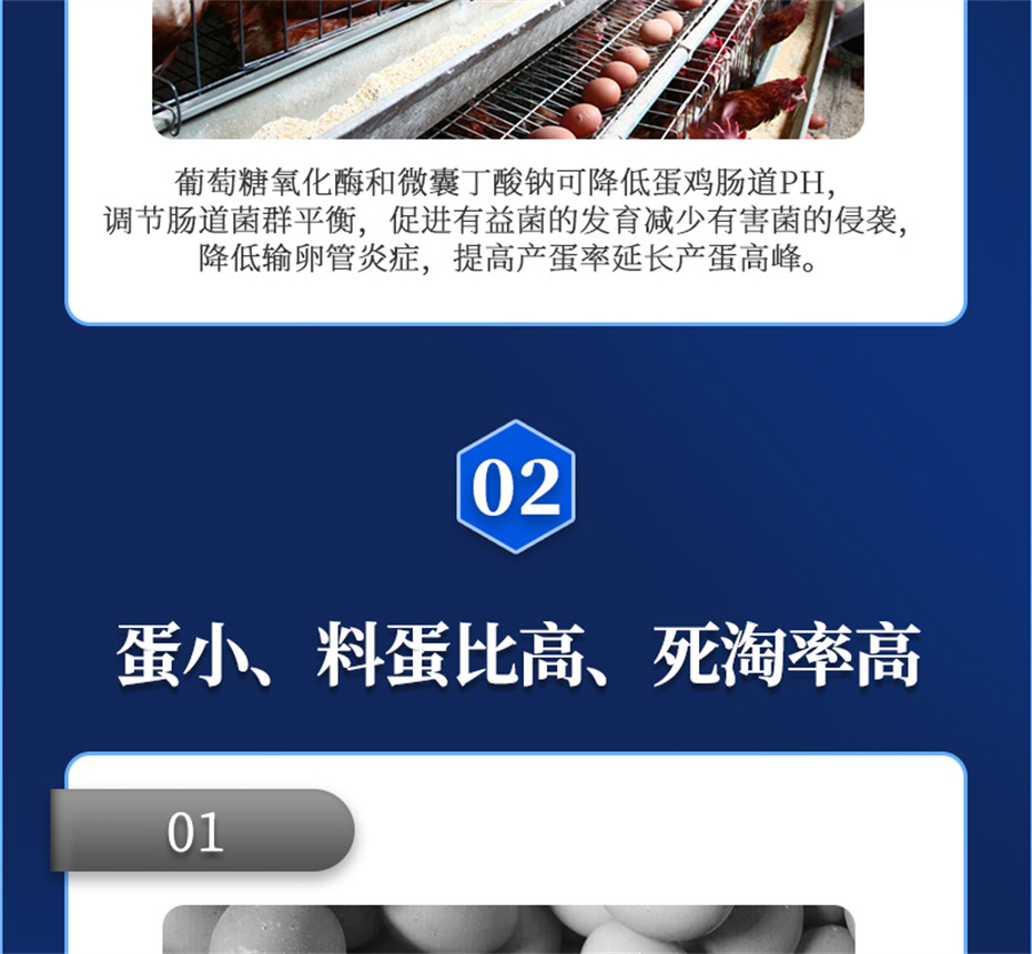 尊龙凯时中国动保禽饲料添加剂蛋高产品介绍