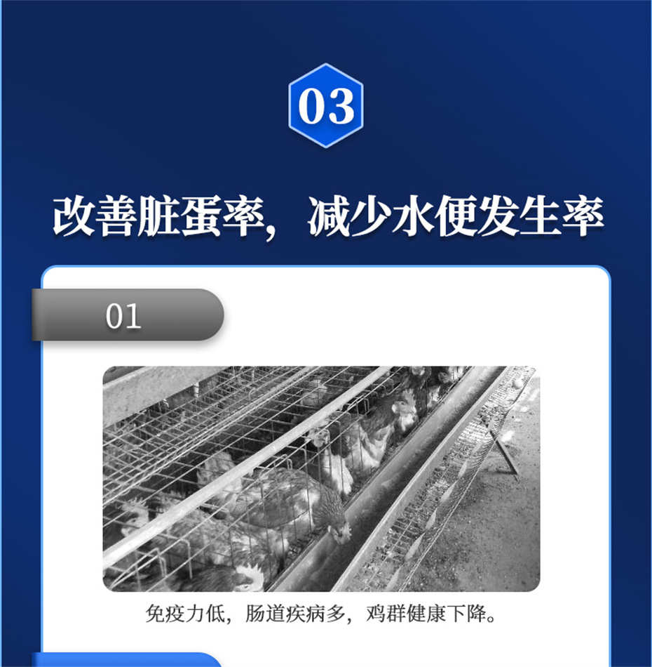 尊龙凯时中国动保禽饲料添加剂蛋高产品介绍