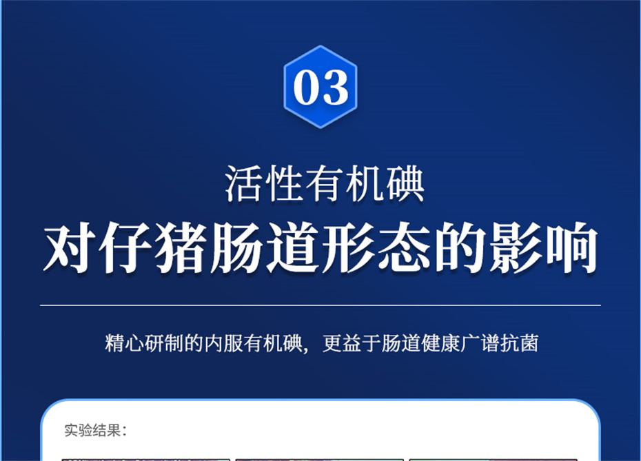 尊龙凯时中国动保猪饲料添加剂痢健120产品介绍