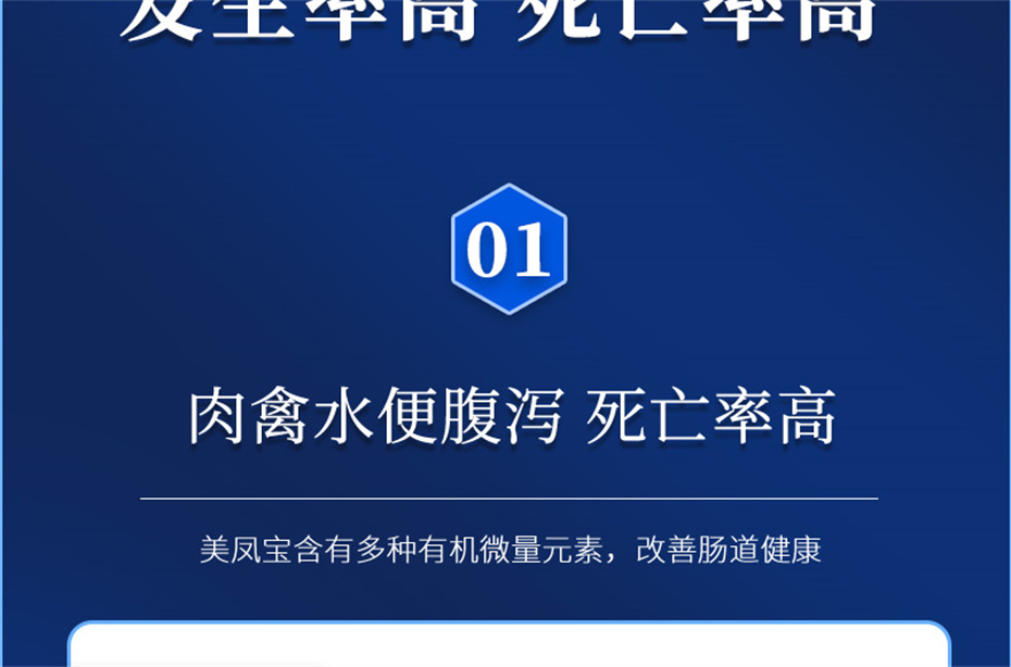 尊龙凯时中国动保禽饲料添加剂美凤宝产品介绍