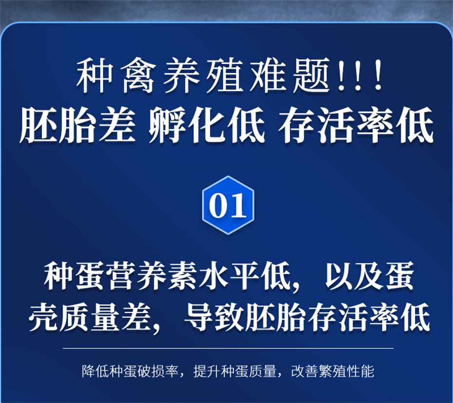 尊龙凯时中国动保禽饲料添加剂孵健宝产品介绍