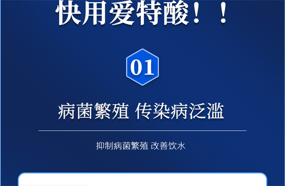 尊龙凯时中国动保猪饲料添加剂爱特酸产品介绍