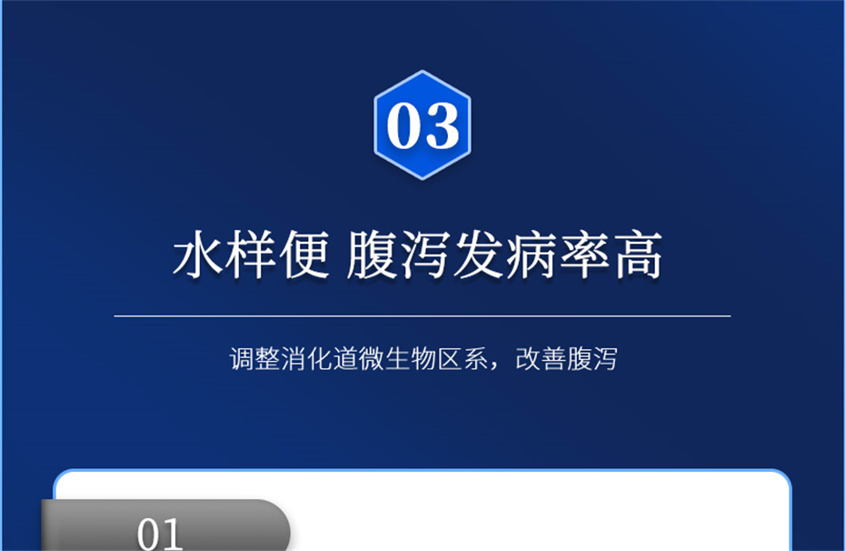 尊龙凯时中国动保猪饲料添加剂爱特酸产品介绍