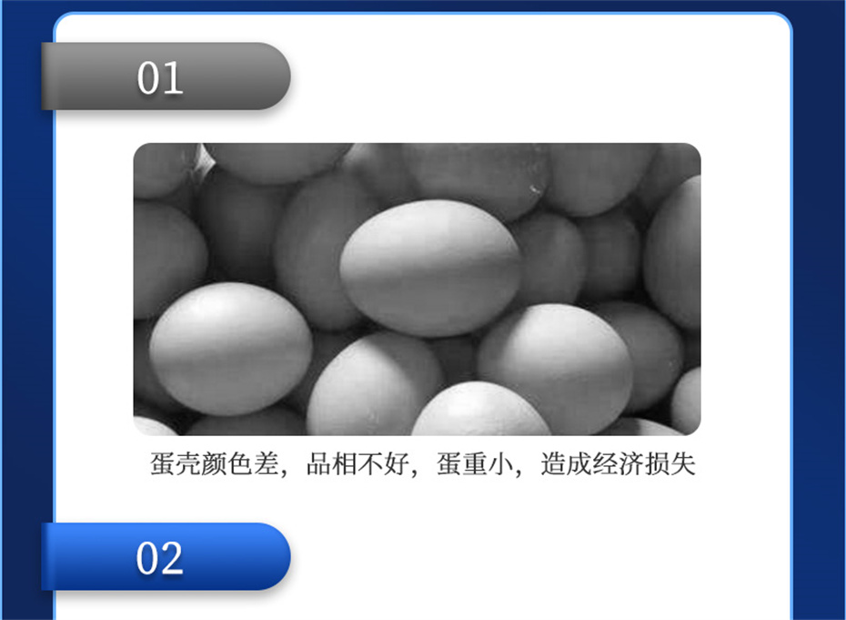 尊龙凯时中国动保禽饲料添加剂靓蛋宝产品介绍