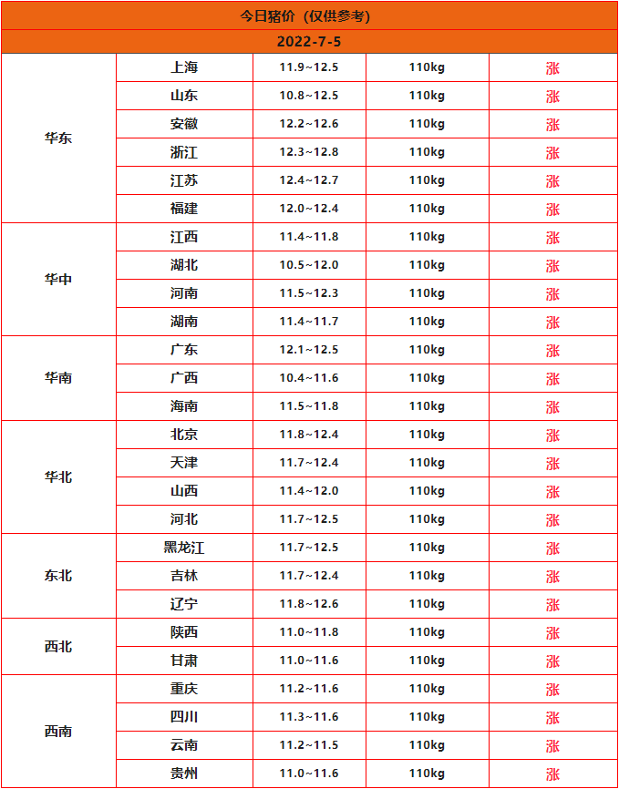 全国猪价行情