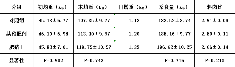 肥猪王试验数据