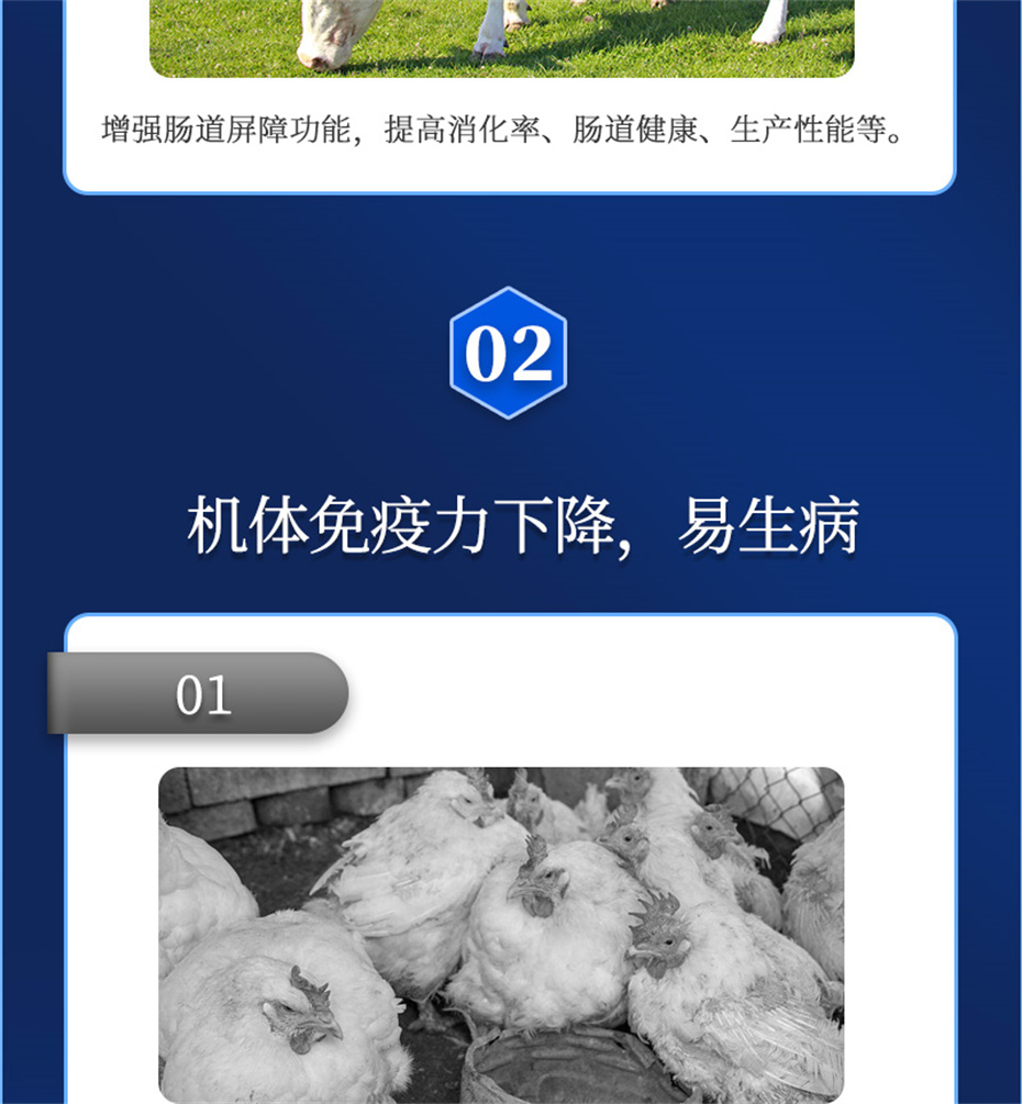 尊龙凯时中国动保饲料添加剂排毒增免肽产品介绍