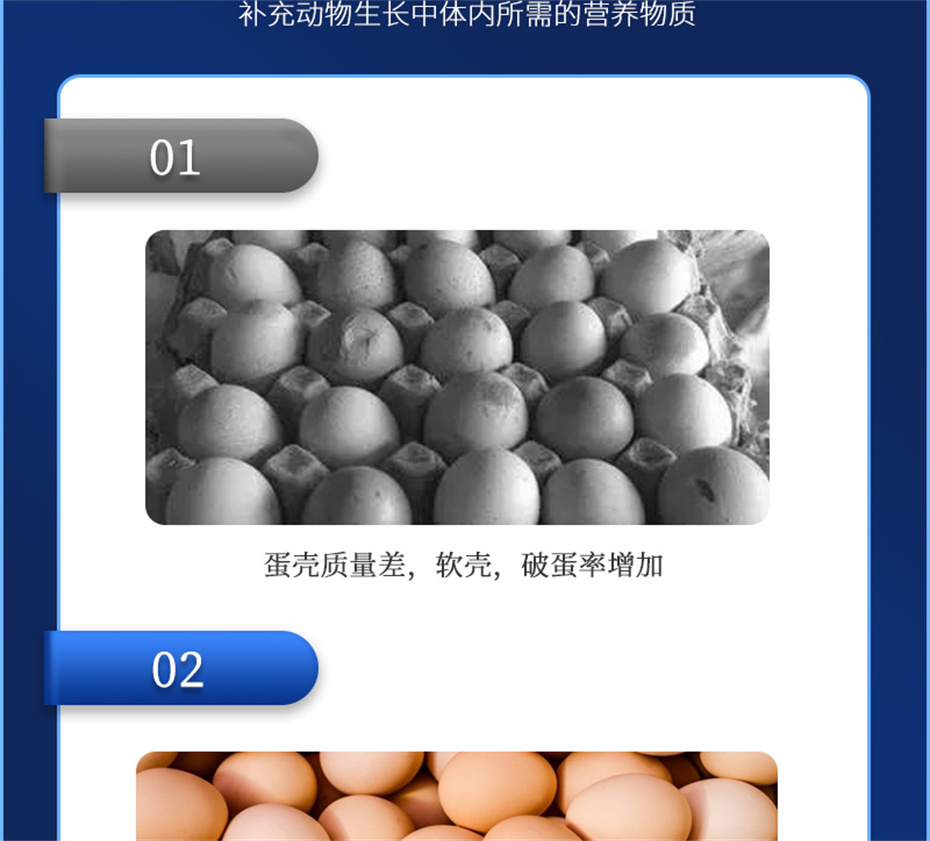 尊龙凯时中国动保饲料添加剂高钙宝