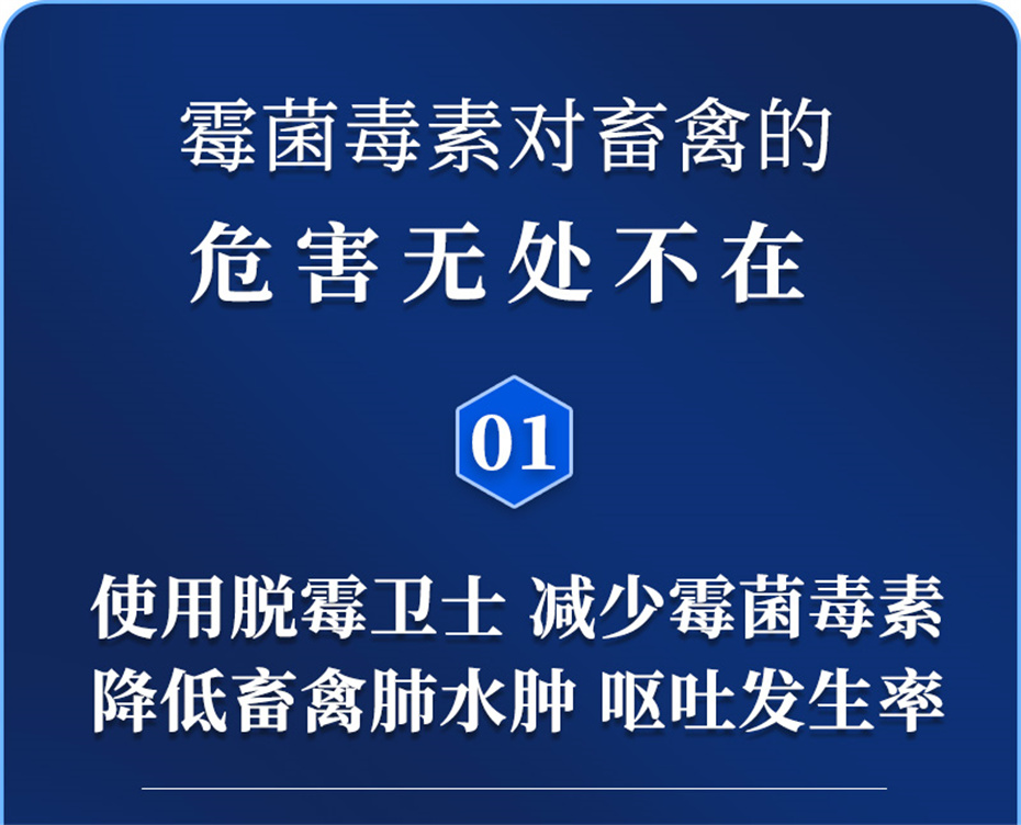 尊龙凯时中国动保饲料添加剂脱霉卫士