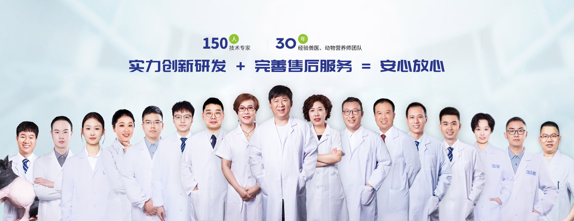 尊龙凯时中国-饲料添加剂服务优势